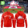 Class Of 2025 Twins Hoodie – Graduation Baseball Fan Apparel