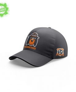 Limited Edition Tennessee Volunteers A Smokey Grey Hoodie