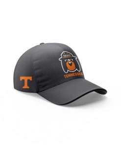 Limited Edition Tennessee Volunteers A Smokey Grey Football Jerseys