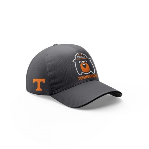 Limited Edition Tennessee Volunteers A Smokey Grey Football Jerseys