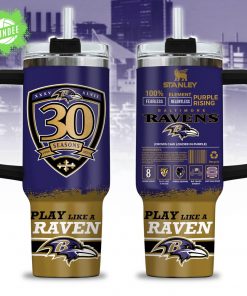 Baltimore Football Tumbler 40oz
