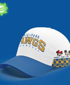 Roanoke Rail Yard Dawgs 2025 Mickey Mouse & Friends New Hockey Jersey