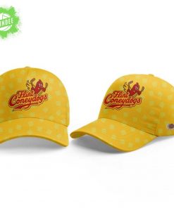 Flint Firebirds Coneydogs Uniform 2026 Hockey Jersey Custom Name, Number